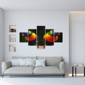 Tablou cu papagali (125x70 cm), în 40 de alte dimensiuni noi