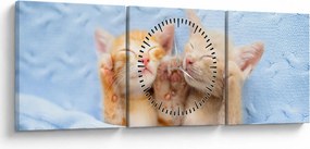 Tablou - Pisicuțe adormite (cu ceas) (90x30 cm)