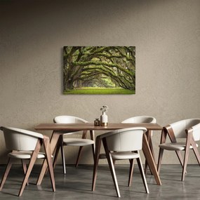 Tablou - Oaks Avenue, Charleston, Carolina de Sud, SUA (90x60 cm)