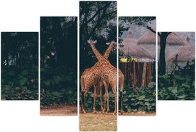 Tablou cu două girafe (150x105 cm)