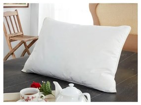 Huse protecție pernă antialergică și impermeabilă, set 2 buc 70x50 cm Classic - Mila Home