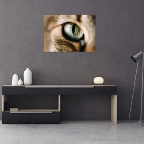 Tablou - Ochi de pisică (70x50 cm)