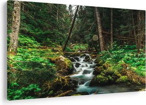 Tablou cu pârău în pădure (90x60 cm)