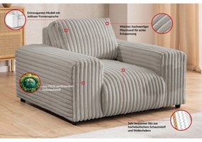 Fotoliu gri deschis cu tapițerie din catifea reiată Justin – Ropez