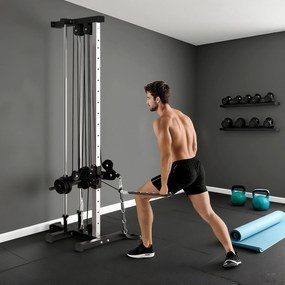 SPORTNOW Stație cu dublu scripete reglabilă în 15 poziții montare pe perete partea superioară a corpului, acasă, fitness, sală | Aosom Romania