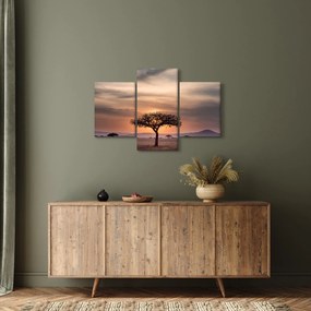 Tablou apusului de soare în Tanzania (90x60 cm)