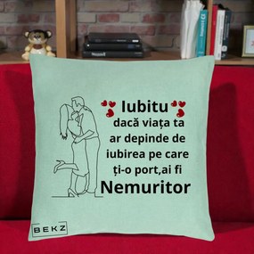 Cadou pentru Iubit - Perna Personalizata Iubitu Nemuritor cu Cuplu Line-Art si Inimi Rosii, 40x40 cm, Verde Menta, Husa Detasabila, Perna Inclusa, BEKZ®