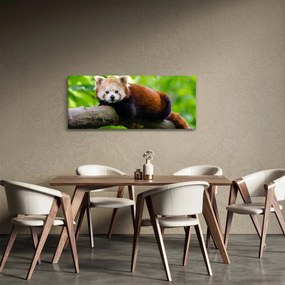 Tablou cu panda roșie (120x50 cm)