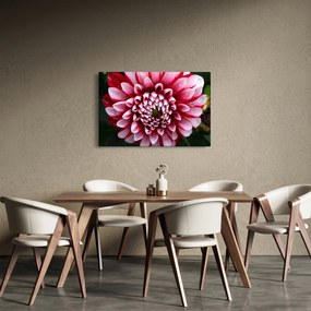 Tablou cu dalie roz (90x60 cm)