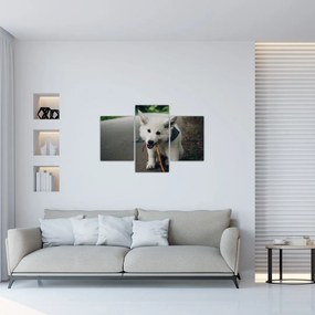 Tablou cu câinele alb (90x60 cm)