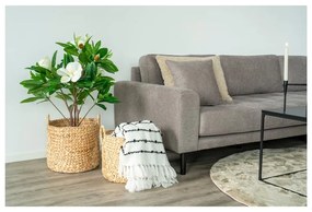 Coșuri de depozitare 2 buc. din zambilă de apă ø 35x37 cm Passo – House Nordic