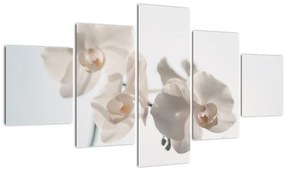 Tablou cu orhidee albă (125x70 cm), în 40 de alte dimensiuni noi