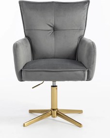 HR250CROSS Scaun Catifea Grafit Bază Aurie