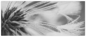 Tablou - Păpădie (120x50 cm)