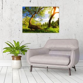 Tablou pe sticlă lunca ne primăvară (70x50 cm)