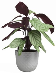 Ghiveci din plastic reciclat ø 30 cm Havana – Artevasi