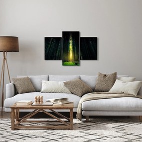 Tablou cu pădurea întunecată (90x60 cm)