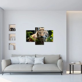 Tablou - Desene de desen (90x60 cm)