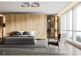 LED plafonieră SMART GALAXY LED/24W/230V gri/auriu cu telecomandă, dimabilă