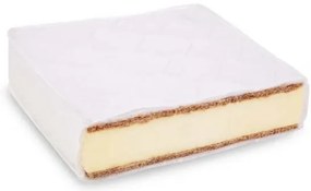 Saltele pentru patuturi spuma Cocos 60 x 120 cm