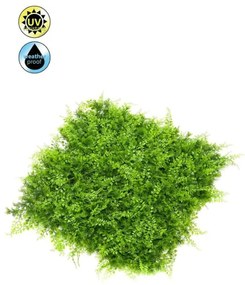 Perete artificial - Fern / Juniperus - 50 x 50 cm