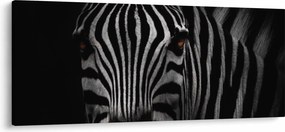 Tablou cu zebră (120x50 cm)