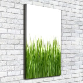 Imprimare tablou canvas Iarbă verde