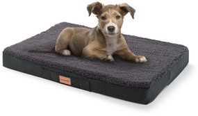 Balu, pat pentru câine, pernă pentru câine, lavabil, ortopedic, antiderapant, spumă cu memorie, dimensiunea S (72 × 8 × 50 cm)