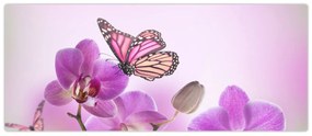 Tablou - Fluture pe flori de orhidee, liliac (120x50 cm)