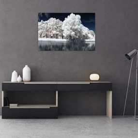 Tablou - Albă ca Zăpada Albă ca Zăpada Copaci (90x60 cm)