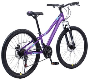 Bicicleta Caraiman, roti 24 sau 26 inch, cadru otel, frane pe disc, cameleon, BC76