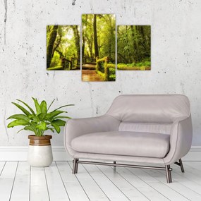 Tablou junglei cu mușchi (90x60 cm)