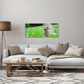 Tablou cu păpădie (120x50 cm)