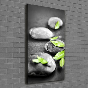 Tablou canvas Frunze zen pietre