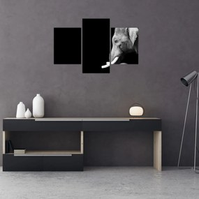 Tablou - Elefant (90x60 cm)