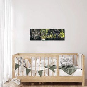 Tablou cu râu montan (cu ceas) (90x30 cm)