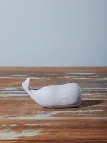 Set solnita si pipernita, Whale