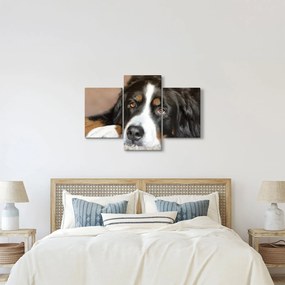 Tablou cu câine (90x60 cm)