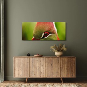 Tablou cu pasărea colorată (120x50 cm)