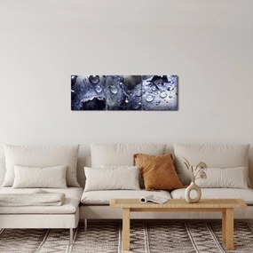 Tablou cu fructe cu picături de apă (cu ceas) (90x30 cm)