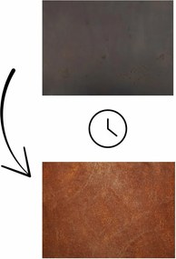 Magazie de lemne Stora pentru grădină 120 x 80 x 40 cm, corten CORGARDEN 1037