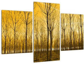 Tablou cu pădure în apus de soare (90x60 cm)