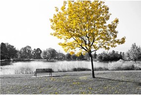 Tablou - relaxare în parc (90x60 cm)