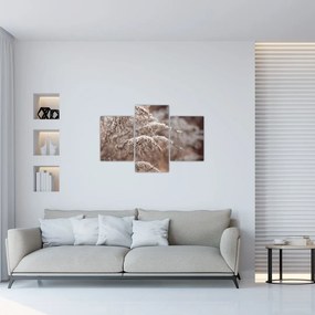 Tablou cu plante (90x60 cm)