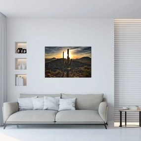 Tablou - cactușii la soare (90x60 cm)
