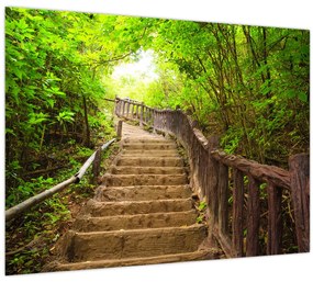 Tablou - Scări în natură (70x50 cm)