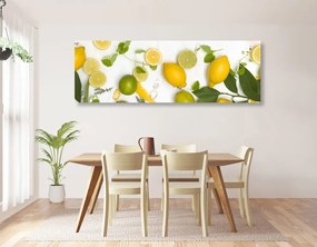 Tablou amestec de fructe citrice