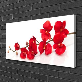 Tablou pe panza canvas Flori Floral Roșu