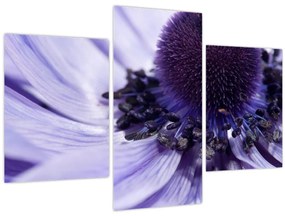 Tablou - Floare mov (90x60 cm)