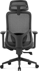 Scaun ergonomic premium Ally-H, spătar reglabil pe înălțime, șezut glisant, suport lombar 2D, tetieră 2D, cotiere 3D, reclinare 125°, Mesh + Textil, Negru